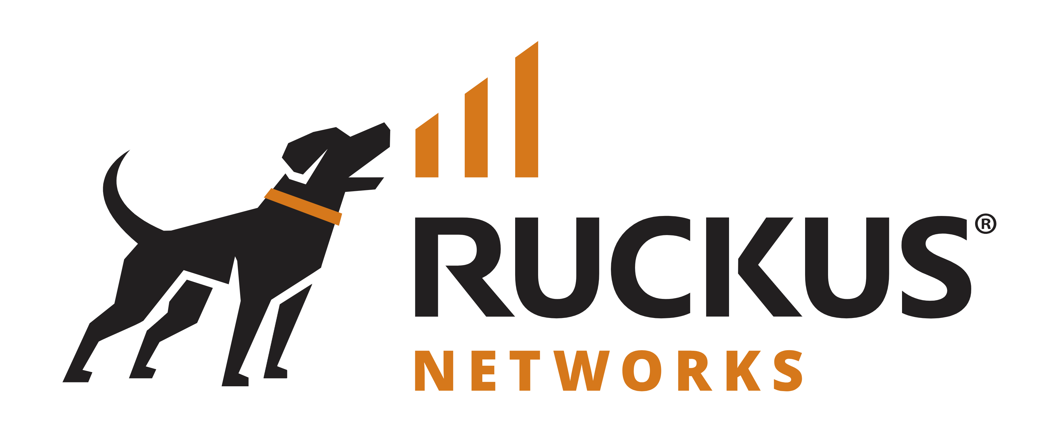 Ruckus Networks