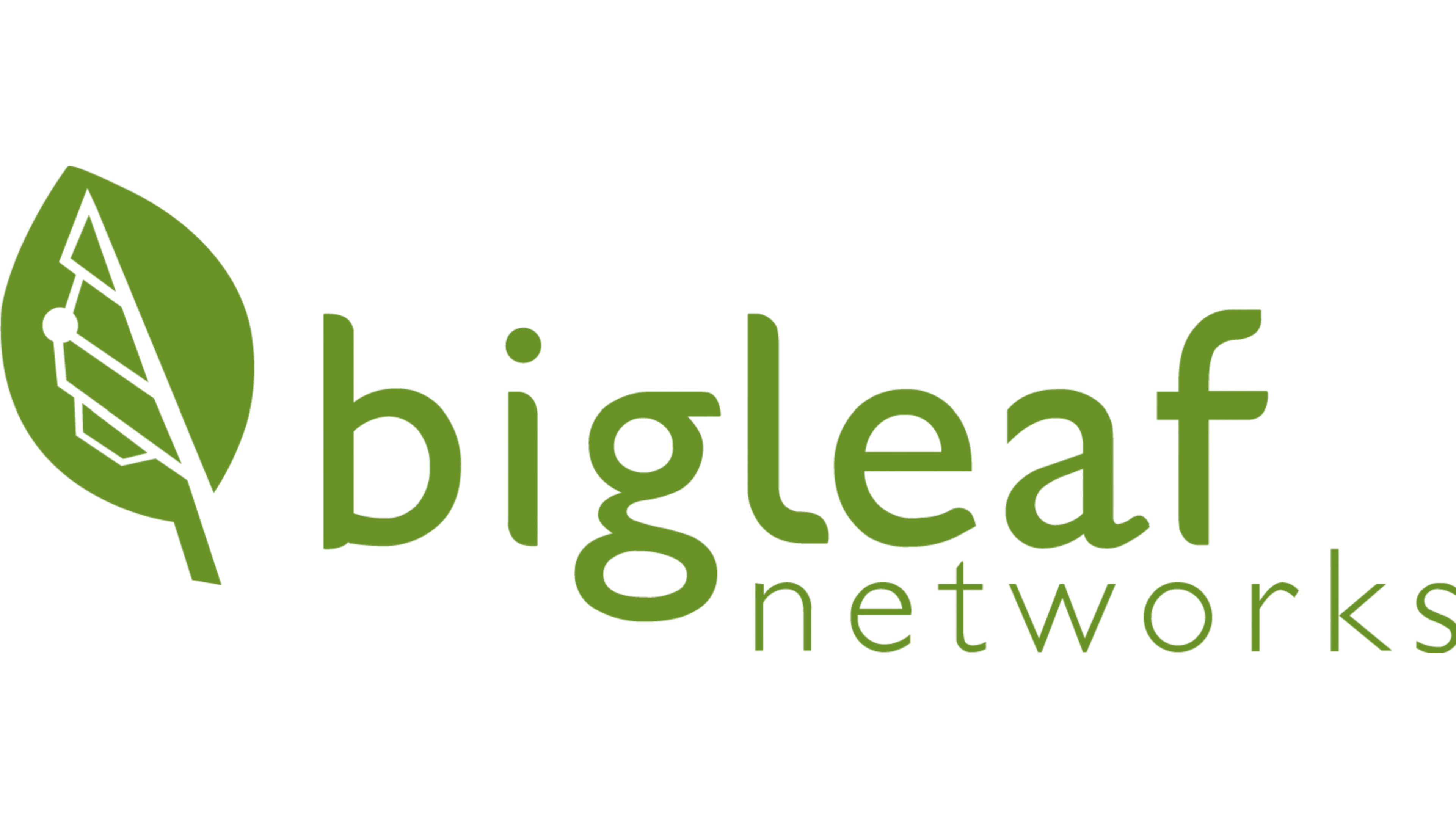 Bigleaf